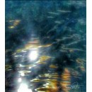 Memorie Dissipate